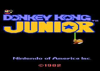 Donkey Kong Junior
