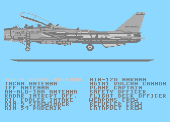 F-14 Tomcat Animation