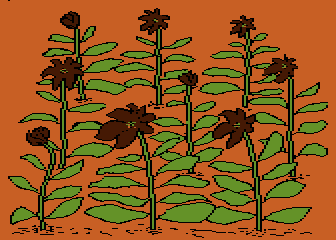 Flowerbed 01