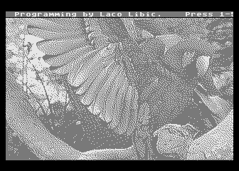 Lac-Intro II - Part 6