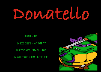 Teenage Mutant Ninja - Donatello