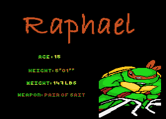 Teenage Mutant Ninja - Raphael