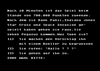 Das Sylvester Adventure