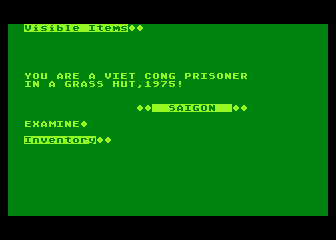 Saigon the Final Days