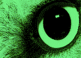 Amiga Overscan Picture Disk I