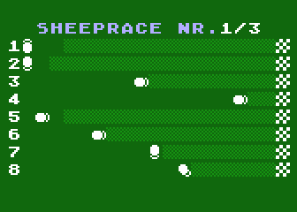 Sheep-Race