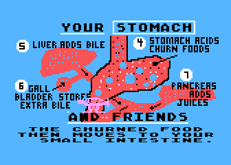 The Human Body Series - Digestion