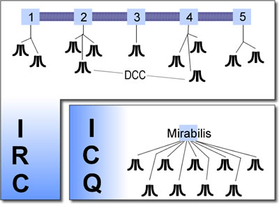 Network topology