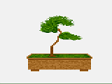 Bonsai Atari Iron  Bonsai - Iron