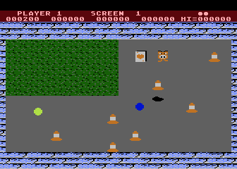 Ace Dribbler & The Roadhogs