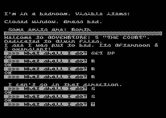 Adventure 5: The Count