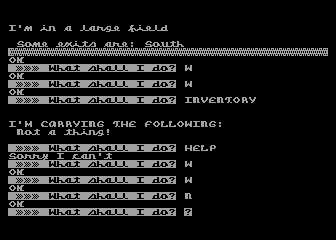 Adventure 9: Ghost Town