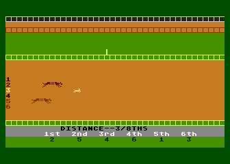 Photo Finish Greyhound Racing