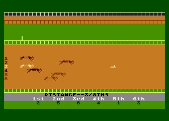 Photo Finish Greyhound Racing