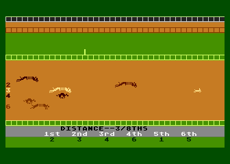 Photo Finish Greyhound Racing