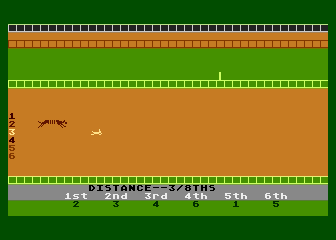 Photo Finish Greyhound Racing