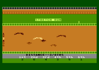 Photo Finish Greyhound Racing