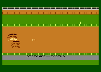 Photo Finish Greyhound Racing