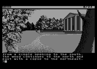 Guild of Thieves, The