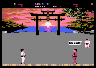 International Karate RCX