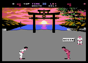 International Karate RCX