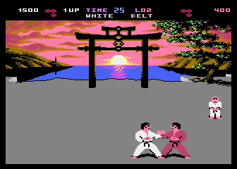 International Karate RCX