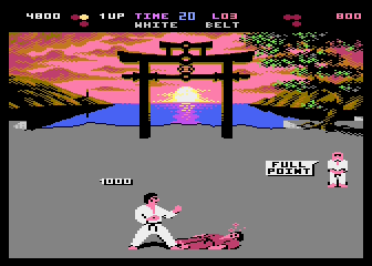 International Karate RCX