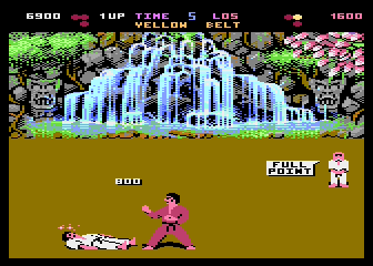 International Karate RCX