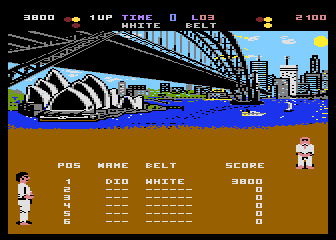 International Karate