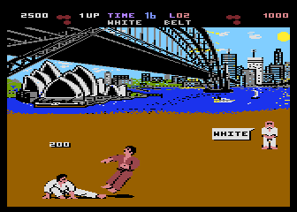 International Karate