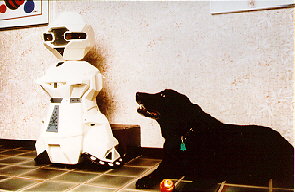 [Le robot Bob]