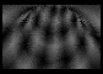 Map Rotating