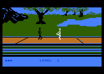 Computer Karate