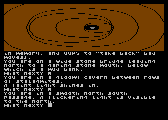 Dungeon Adventure