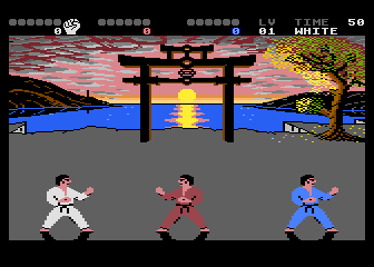 International Karate Plus
