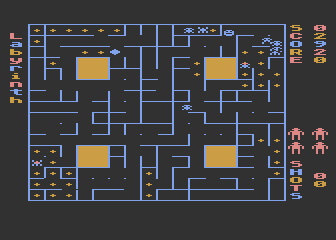 Labyrinth