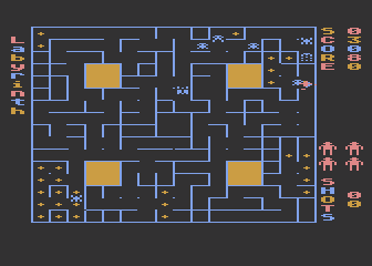 Labyrinth